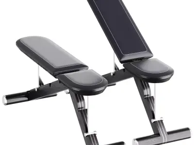 PENT luxury fitness equipment 3D model