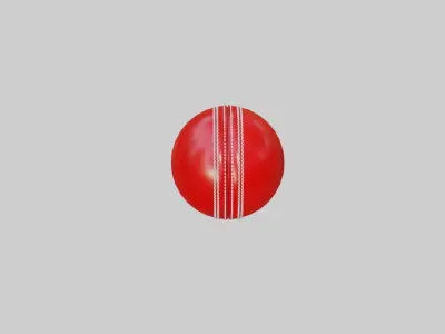 Cricket ball 3d Model Free 3D model