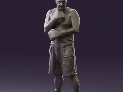 Boxer in gray 0781 3D Print Ready 3D print model