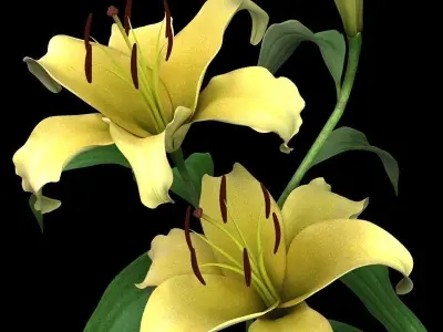 lily yellow 3D model