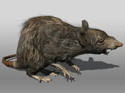 Rat animal Low-poly 3D model