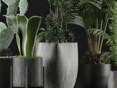 Plants Collection 21 3D model