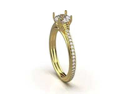 ring code  465 3D print model