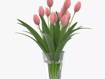 Flower Tulip in Vase 3D model