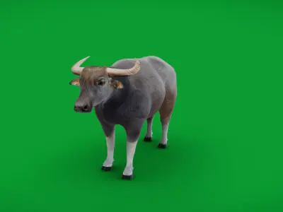 River Buffalo Low-poly 3D model