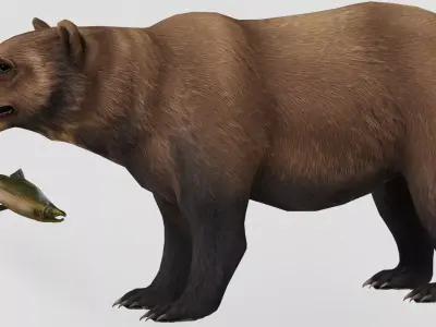 AnimalS Collection 3D model