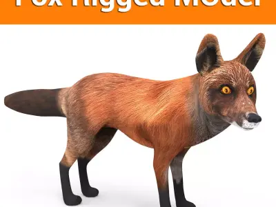3D Fox rigged Model Low-poly 3D model