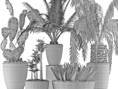 Plants Collection 25 3D model