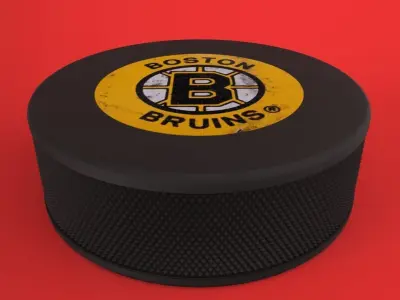 Boston Bruins Puck Free 3D model