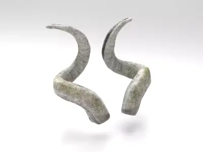 Horns of a screw-horned goat Low-poly 3D model