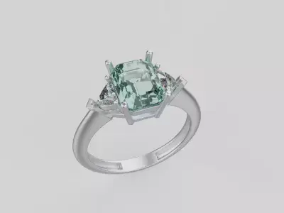 Ring 91337 3D print model