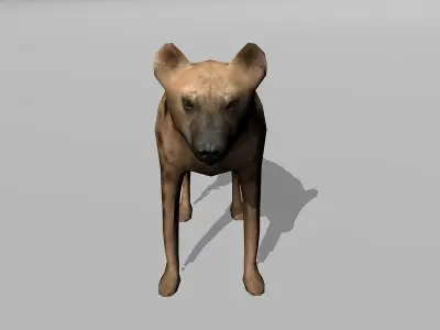 hyena Low-poly 3D model purchase