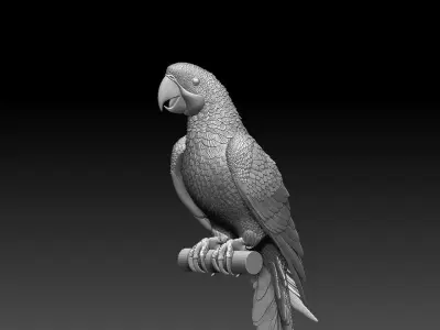 parrot perched on branch 3D print model