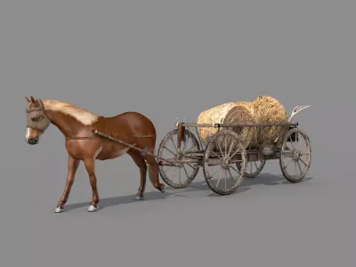 Medieval Wagon Feno 3D model