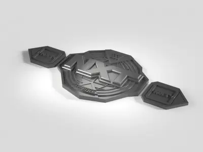 WWE NXT Championship Belt 3D print model
