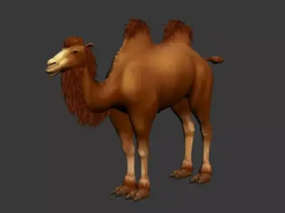 BactrianCamel camel with long hair Low-poly 3D model