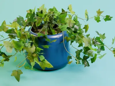 House Ivy Low-poly 3D model