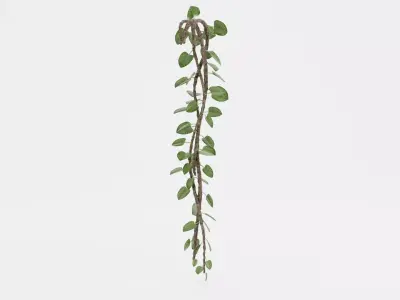 -Liana Plant V1- 3D model