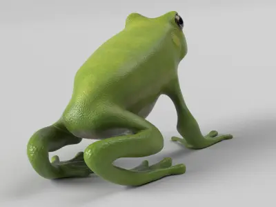 Tree Frog Low-poly 3D model