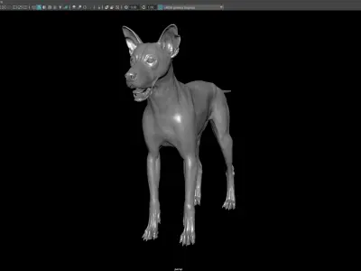 Dog 3D model 3D model