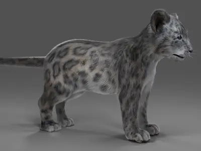 Fur Baby Snow Leopard No Rigged  Low-poly 3D model