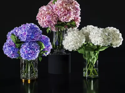Hydrangea set 002 3D model