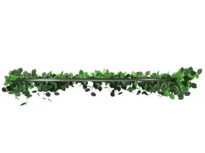 Green grass wreath 3D model