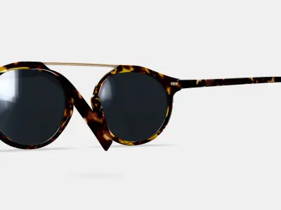 Cooper Sunglasses in Black Oak Tortoise with Polished Gold 3D model