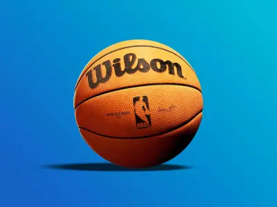 Wilson Basketball 3D Model  3D model