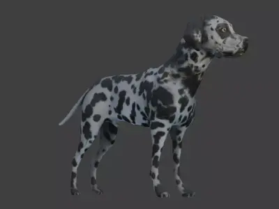 3D Dalmatian Model with Animations Low-poly 3D model