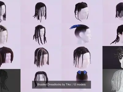 Braided Dreadlocks by Tiko 3D Model Collection