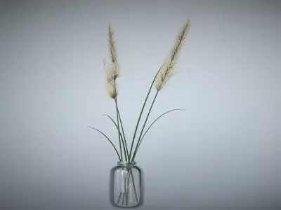 Reed Decoration 3D model