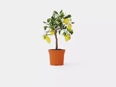 Citrus  Lemon stem Low-poly 3D model
