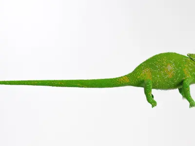 Chameleon Fully Rigged 3D model