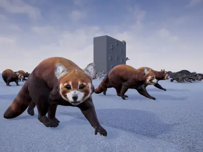 Realistic Raccoon and Red Panda 3D model