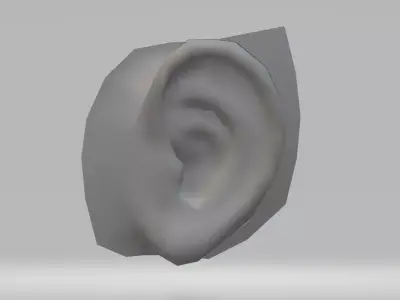 HumanEar ear Free low-poly 3D model