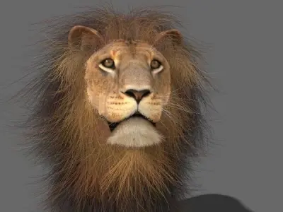 MAjestic Lion - 3d model 3D model
