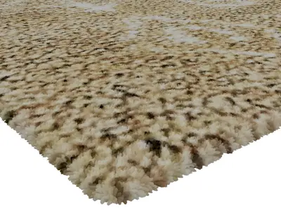 Rug Set 1860 3D model