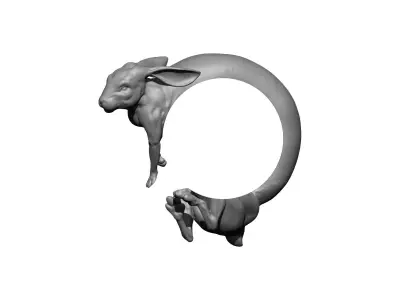 modern art ring hare rubbit bunny 3D print model