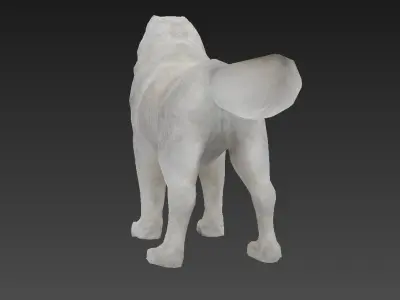 Samoyed  dog Low-poly 3D model