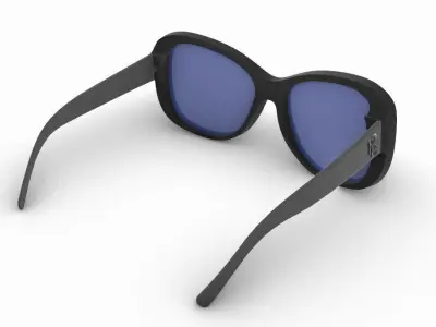 Sunglasses RL8144 3D model