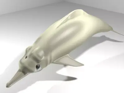 Dolphin - River 3D model
