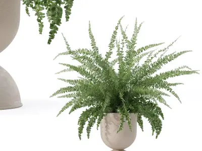 Fern in modern flower pot 3D model