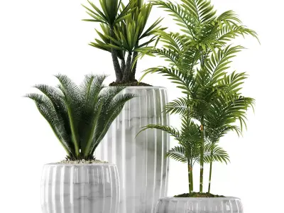 plants set 140 3D model