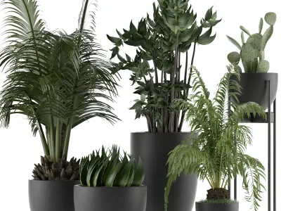 Plants Collection 24 3D model