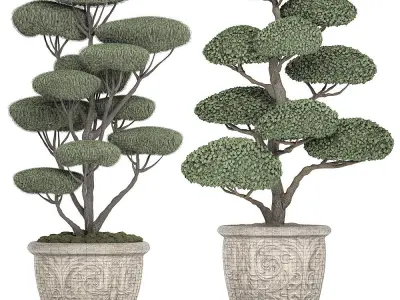 Topiar tree in classic flowerpots for parks and garden 500 3D model