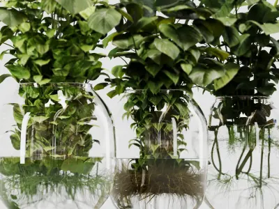 Indoor Plant Set 02 ivy in jar 3D model