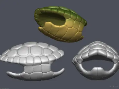 Stylized Cartoon Turtle Shell 3D model