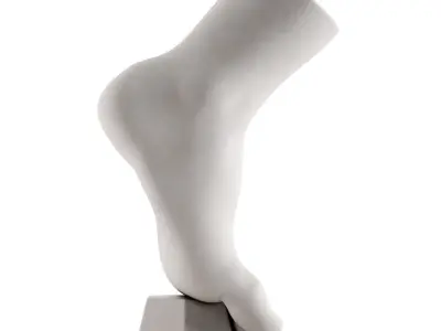 Ecorche plaster training manual foot vertical 3D model