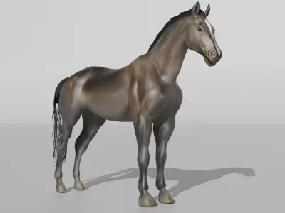 Realistic Muscular Horse Low-poly 3D model